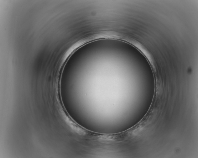 X0000090710861200707271130