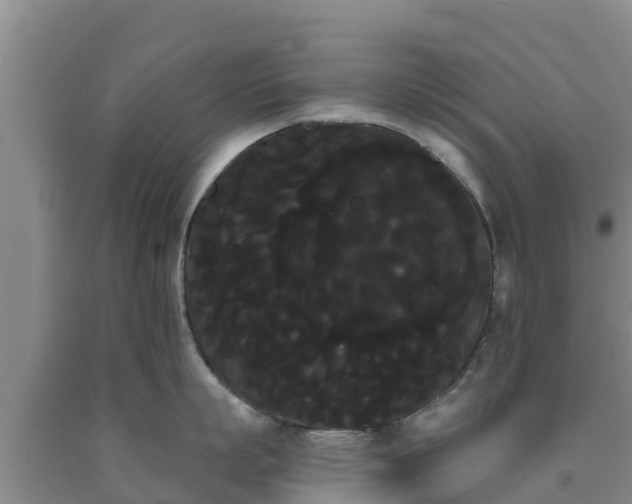 X0000090710863200707271130