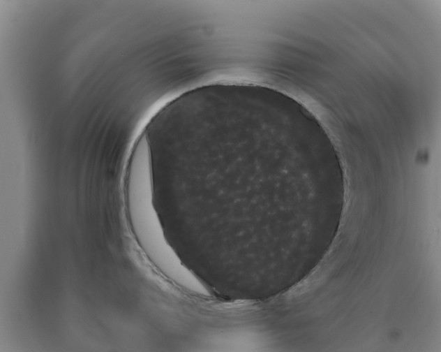 X0000090710864200707271130