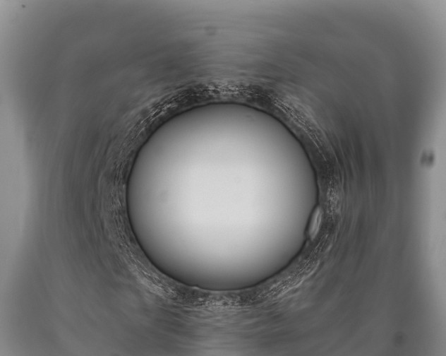 X0000090710865200707271129