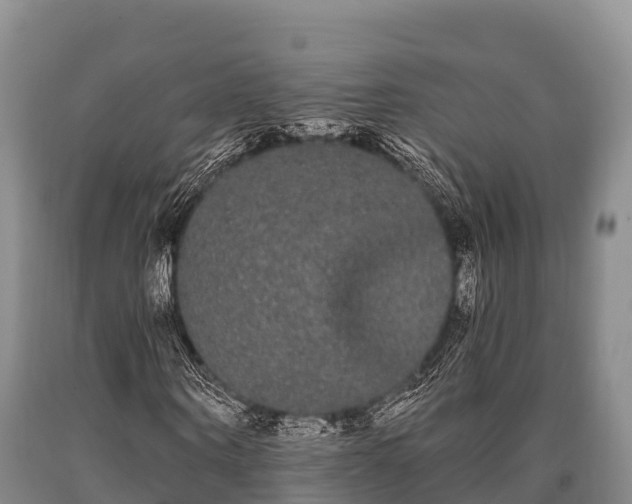 X0000090710866200707271129