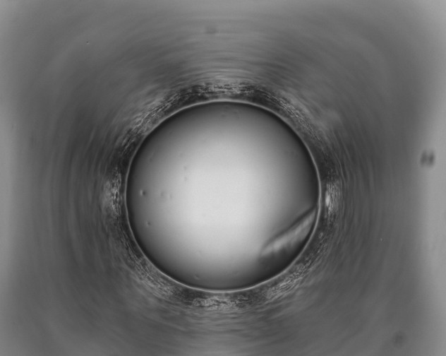 X0000090710867200707271129