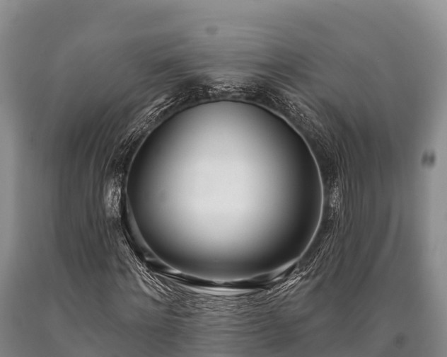 X0000090710868200707271129