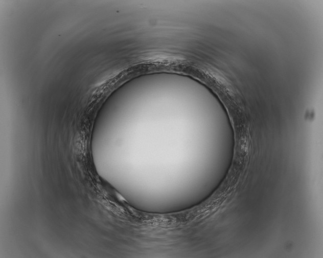 X0000090710869200707271129