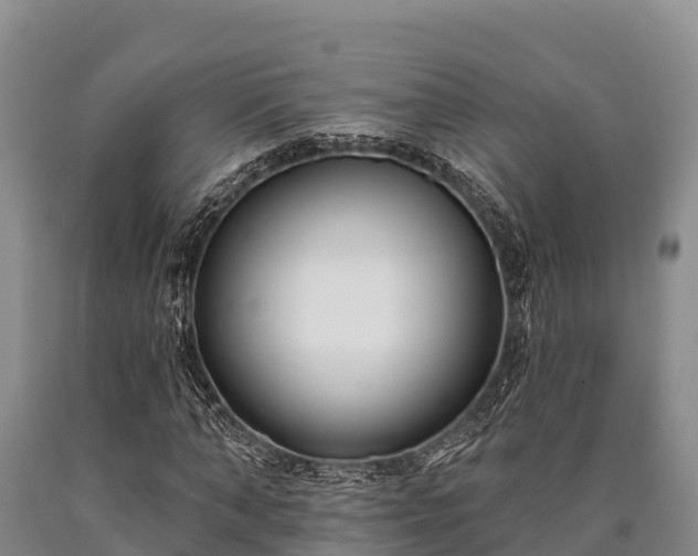 X0000090710870200707271129