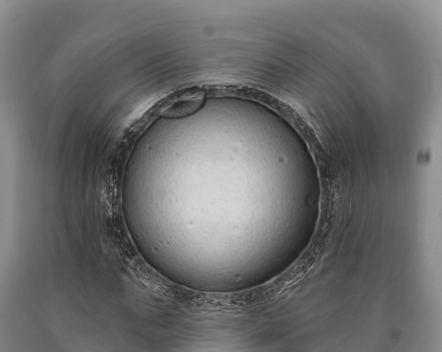 X0000090710871200707271129