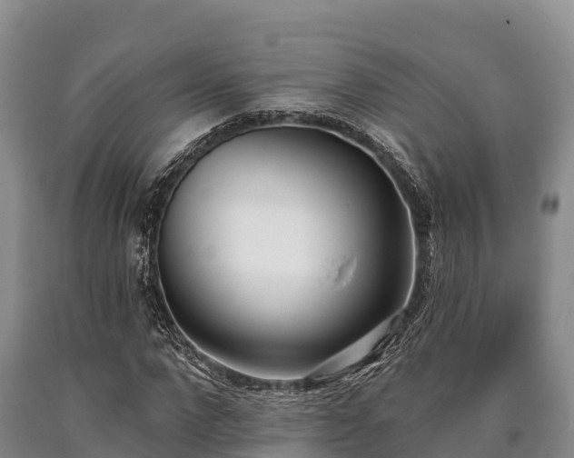 X0000090710872200707271129