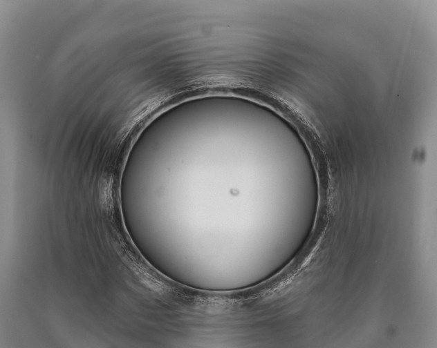 X0000090710873200707271129