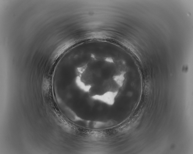 X0000090710874200707271129