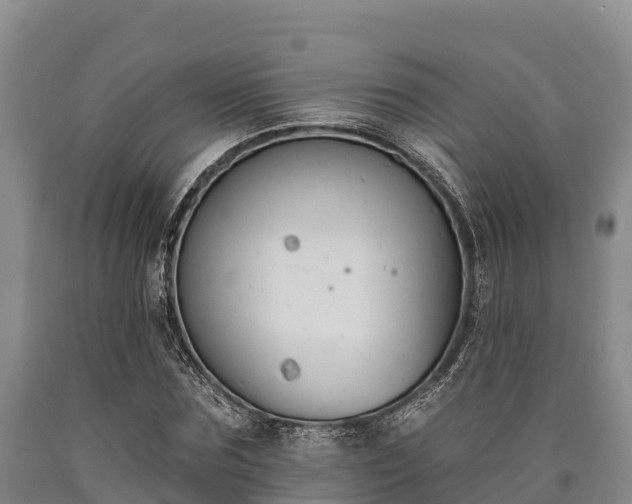 X0000090710875200707271129