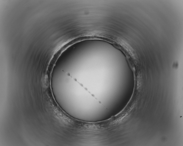 X0000090710876200707271129