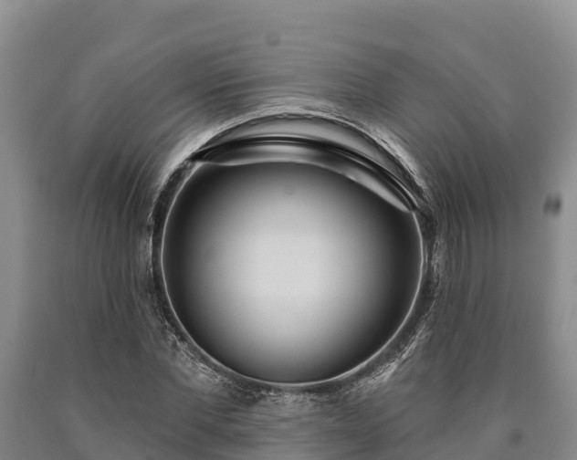 X0000090710877200707271129