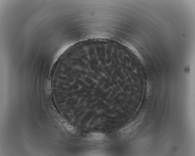 X0000090710878200707271129