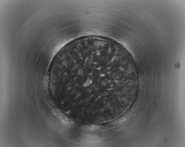 X0000090710879200707271129