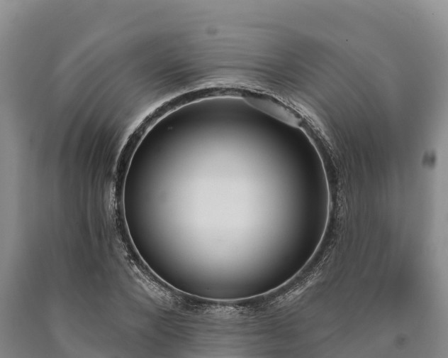 X0000090710880200707271129