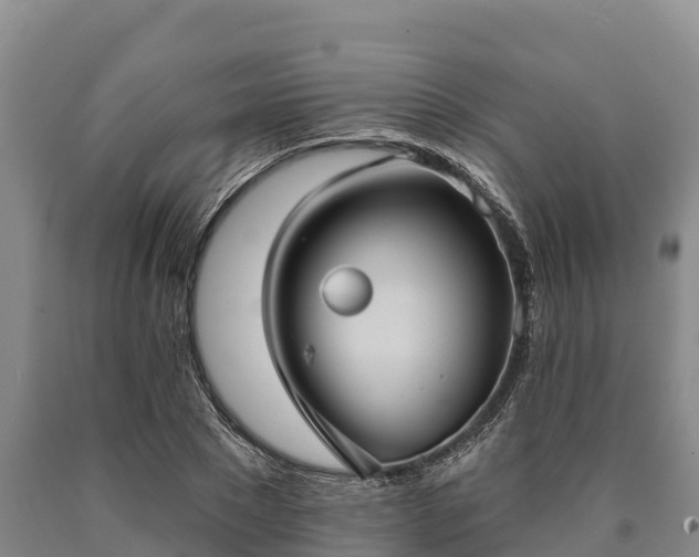 X0000090710881200707271129