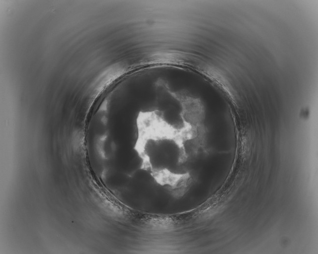 X0000090710882200707271129