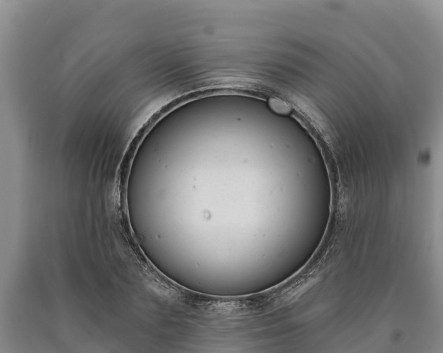 X0000090710883200707271129