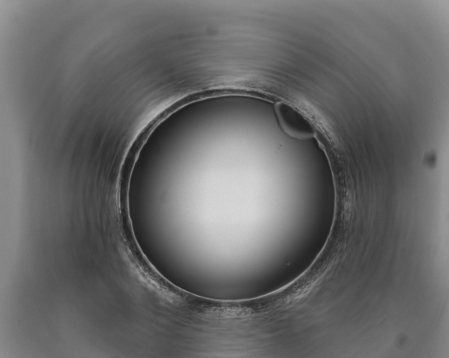 X0000090710884200707271129