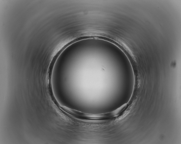 X0000090710885200707271129