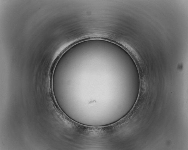 X0000090710886200707271129