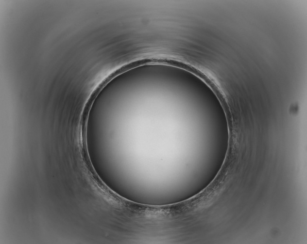 X0000090710887200707271129