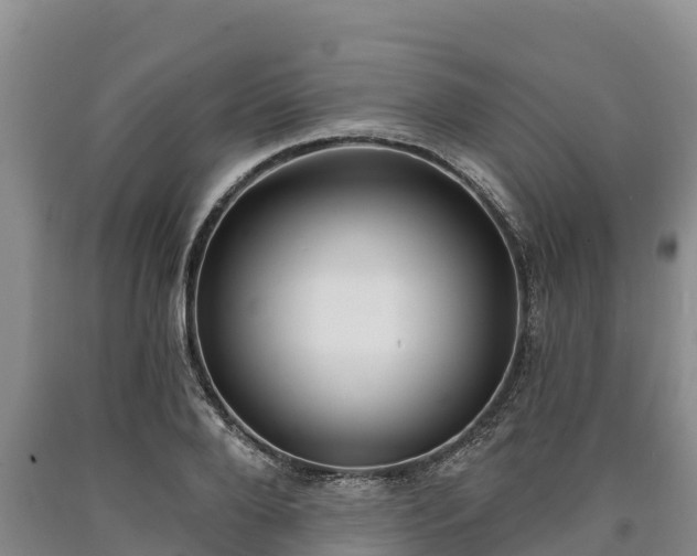 X0000090710888200707271129