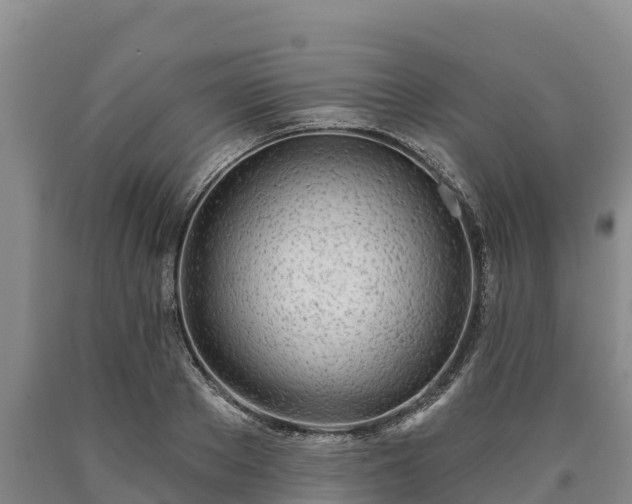 X0000090710889200707271129