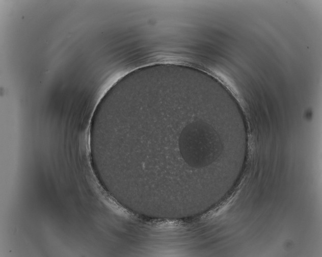 X0000090710891200707271129