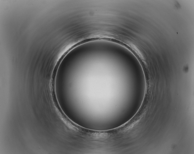 X0000090710893200707271129