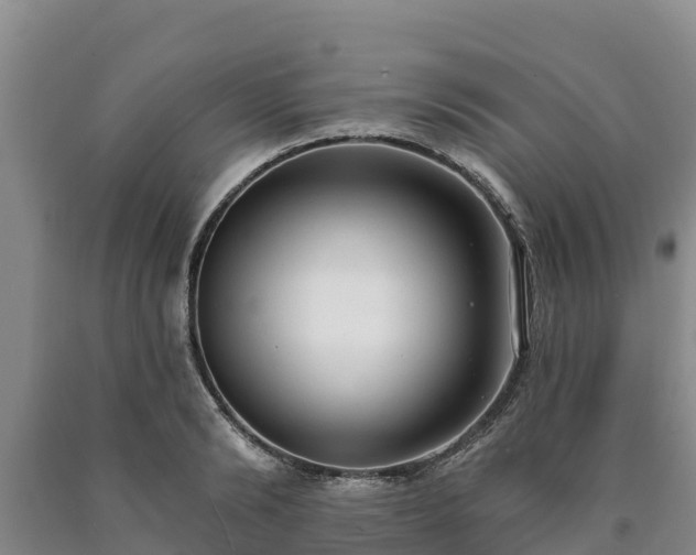 X0000090710894200707271129