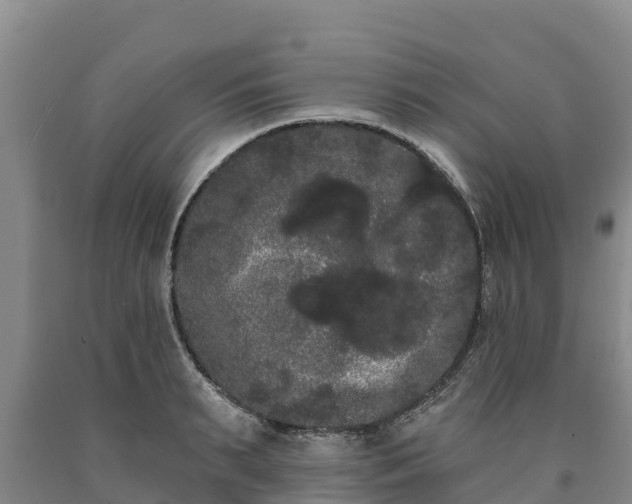 X0000090710895200707271129