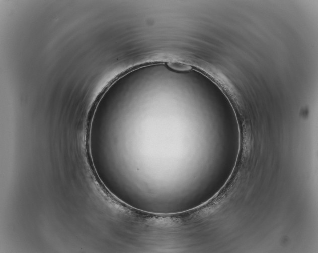 X0000090710896200707271129