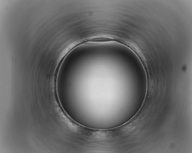 X0000090710898200707271129