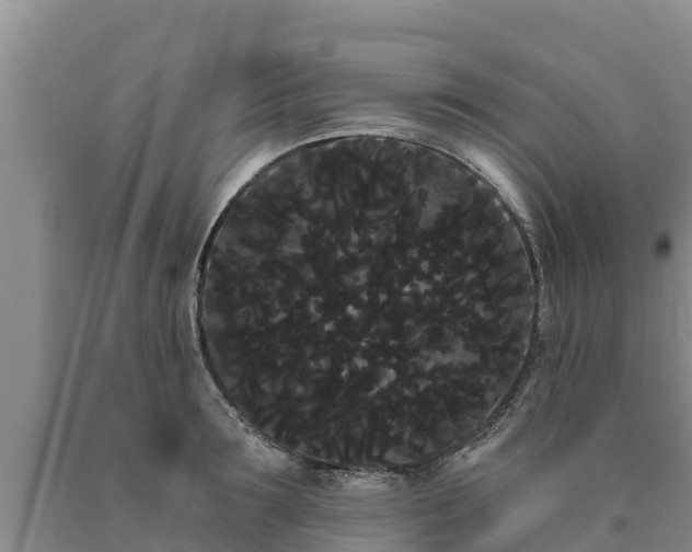 X0000090710899200707271129