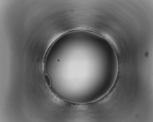 X0000090710900200707271129