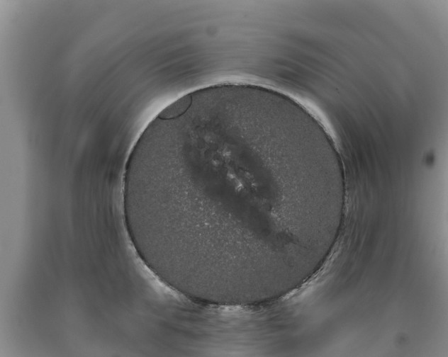 X0000090710903200707271129