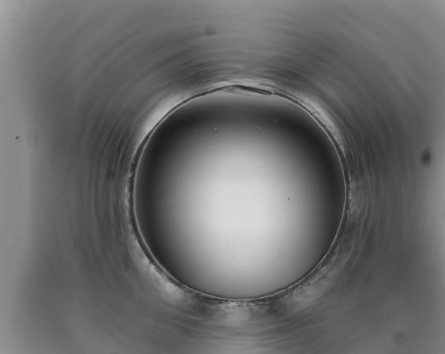 X0000090710906200707271129