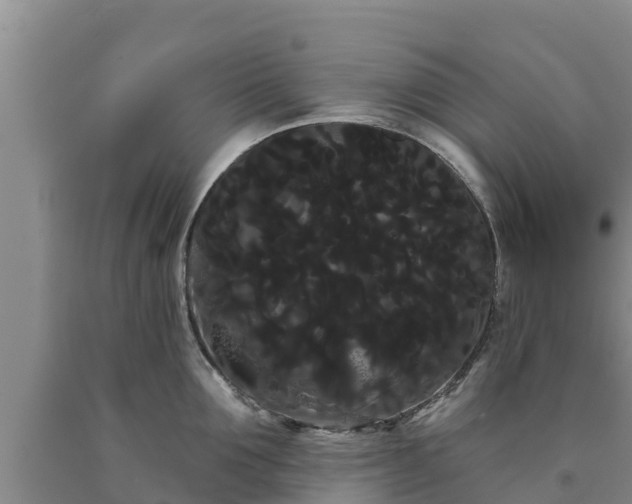 X0000090710907200707271129