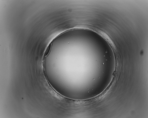 X0000090710908200707271129