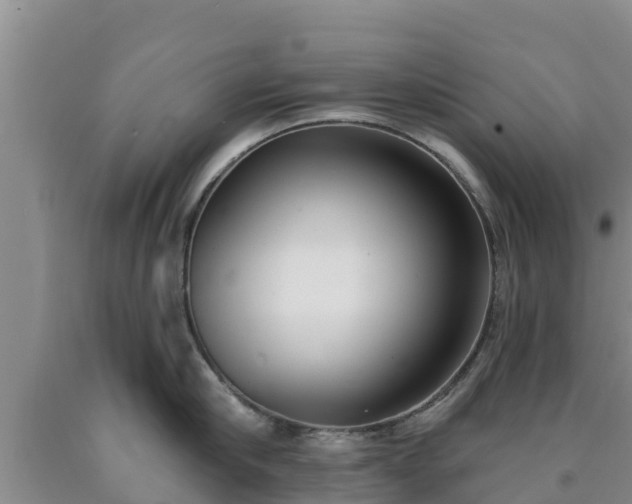 X0000090710910200707271129