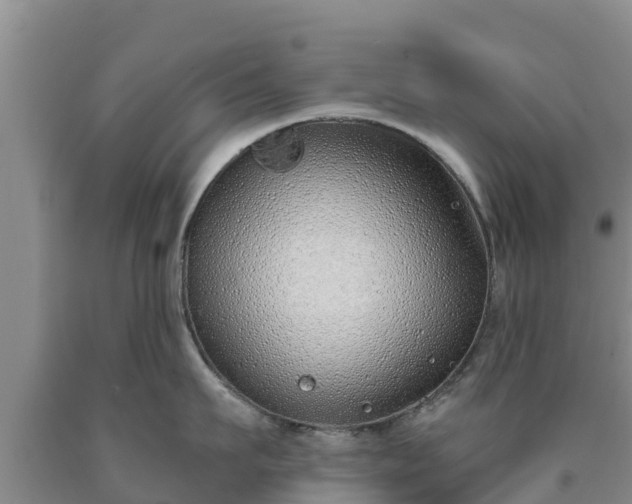 X0000090710911200707271129