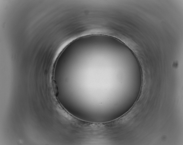 X0000090710912200707271129