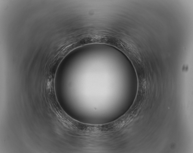 X0000090710914200707271128