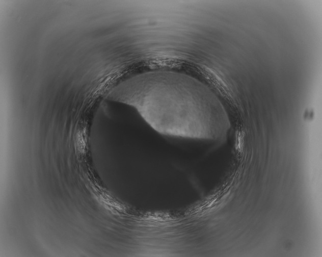 X0000090710915200707271128