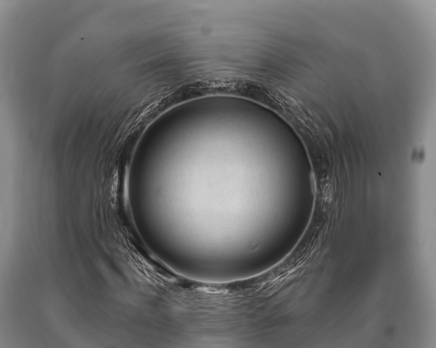 X0000090710916200707271128