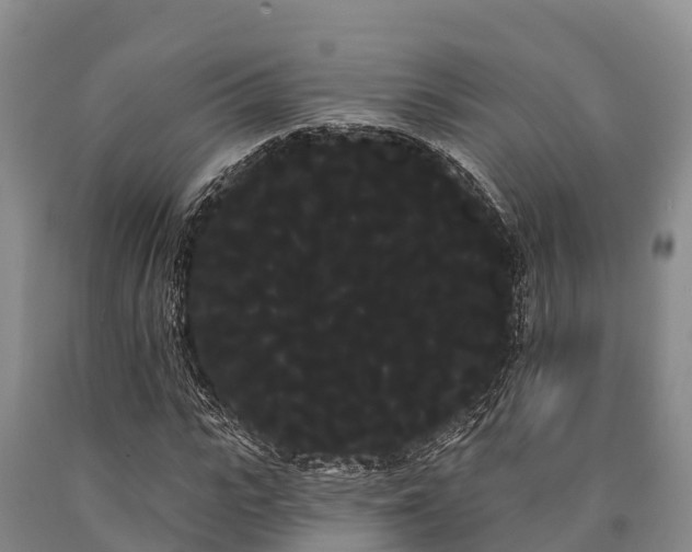 X0000090710919200707271128