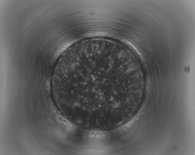 X0000090710921200707271128