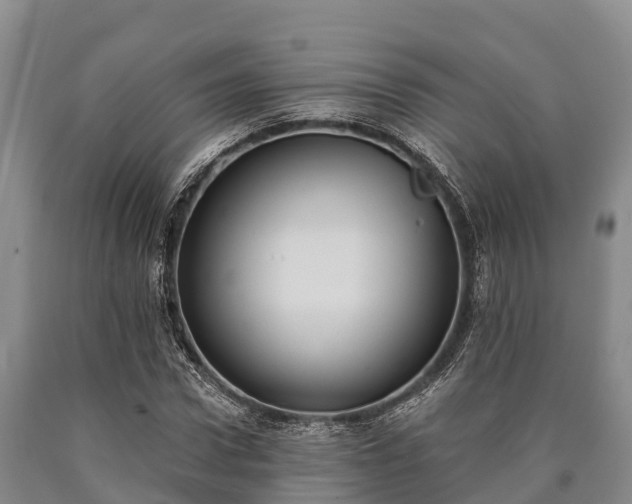 X0000090710922200707271128