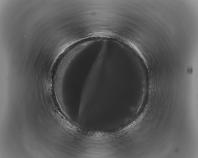 X0000090710923200707271128